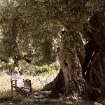 Dounias Village - Traditional Architecture & Modern Luxury, By Zantewize Дом отдыха