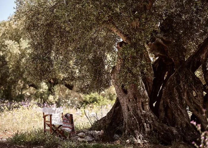 Dounias Village - Traditional Architecture & Modern Luxury, By Zantewize Casa vacanze